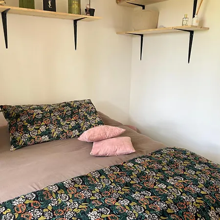 Cabanon De Luxe, Piscine - Acqua Doria - Par Tgb Villa Coti-Chiavari (Corsica)