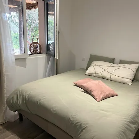 Cabanon De Luxe, Piscine - Acqua Doria - Par Tgb Villa Coti-Chiavari (Corsica)